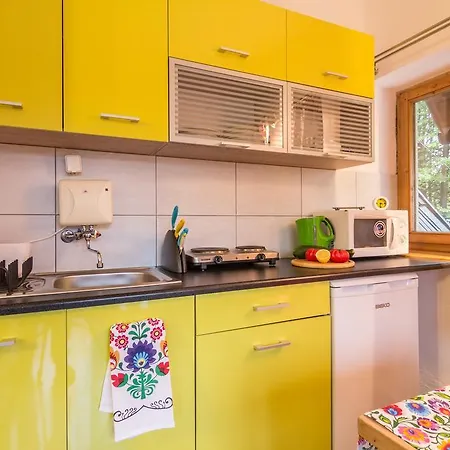 Apartment Apartamenty Do Bialego Zakopane Zakopane